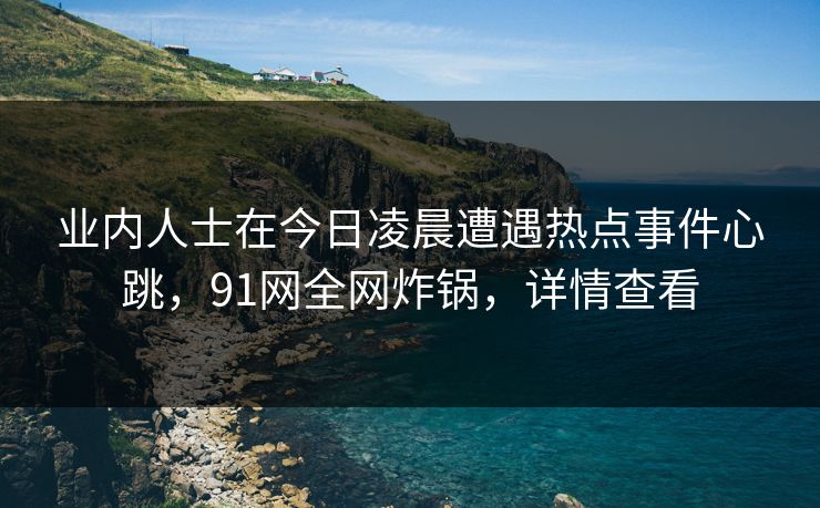 业内人士在今日凌晨遭遇热点事件心跳，91网全网炸锅，详情查看