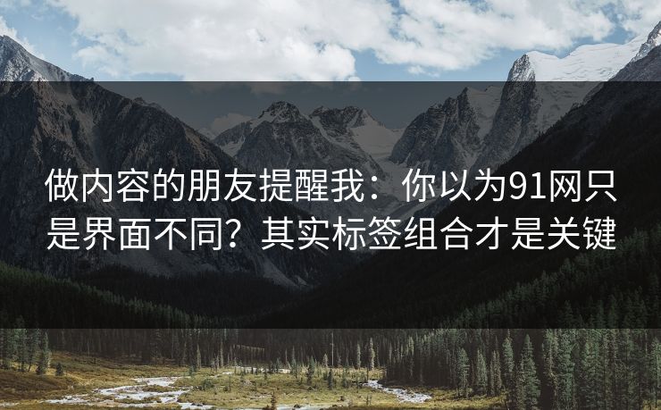 做内容的朋友提醒我：你以为91网只是界面不同？其实标签组合才是关键